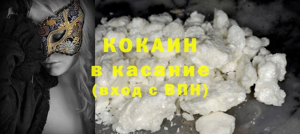 индика Беломорск