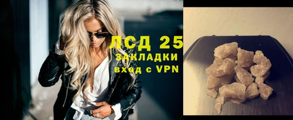 индика Беломорск