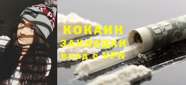 индика Беломорск