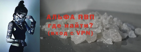 индика Беломорск