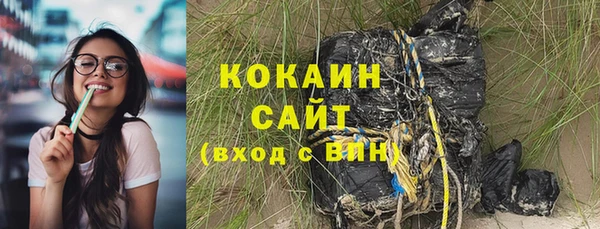 индика Беломорск