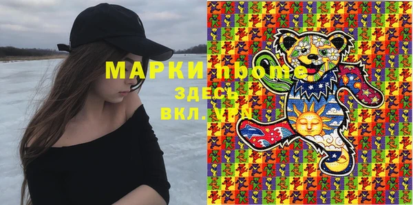 индика Беломорск