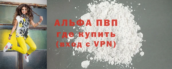 индика Беломорск