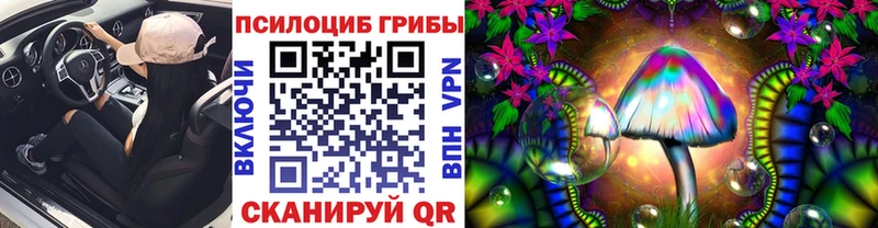 купить закладку Дербент Псилоцибиновые грибы Psilocybine cubensis